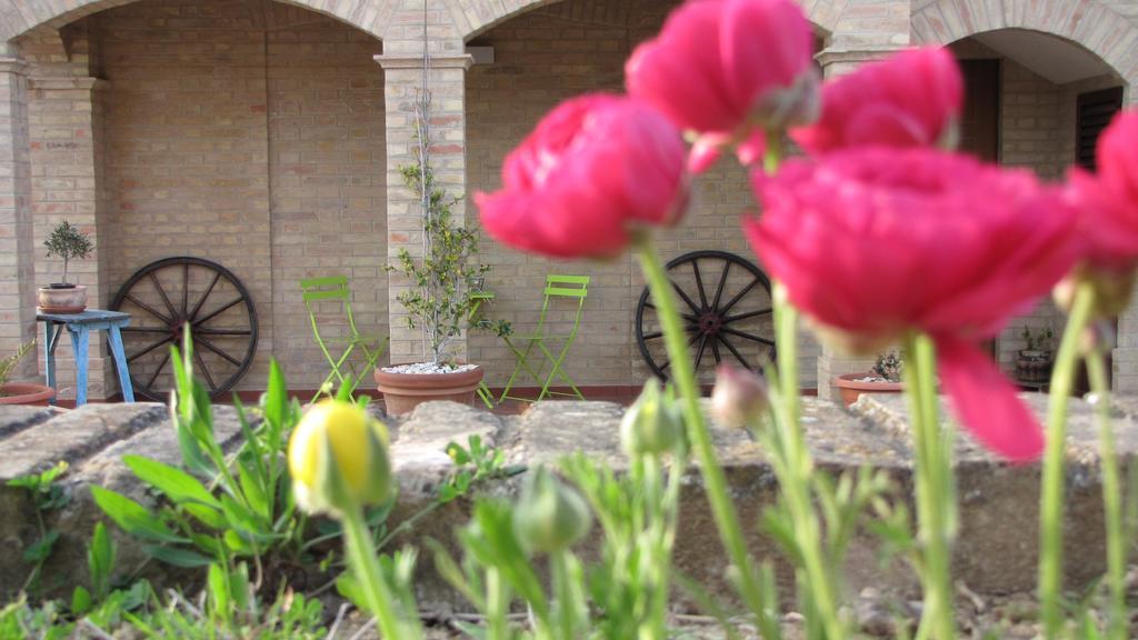 Bed And Breakfast Aratro & Rosmarino Civitanova Marche Szoba fotó