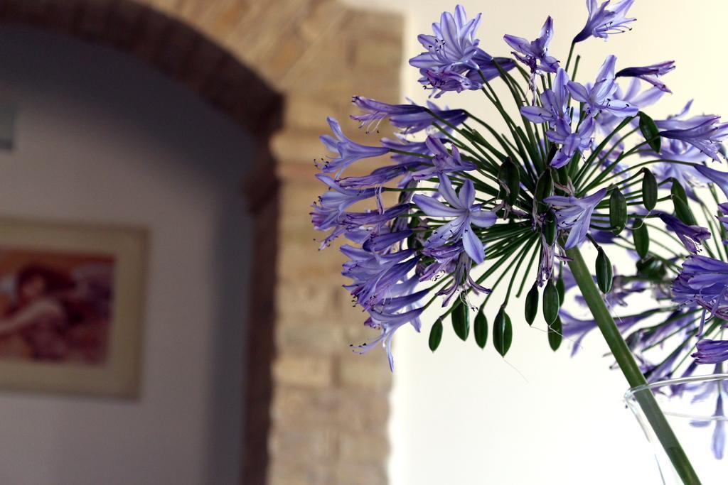Bed And Breakfast Aratro & Rosmarino Civitanova Marche Kültér fotó