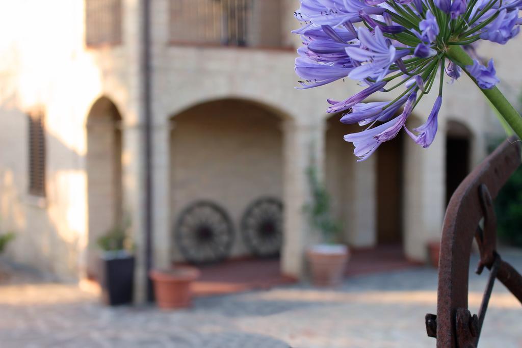 Bed And Breakfast Aratro & Rosmarino Civitanova Marche Kültér fotó